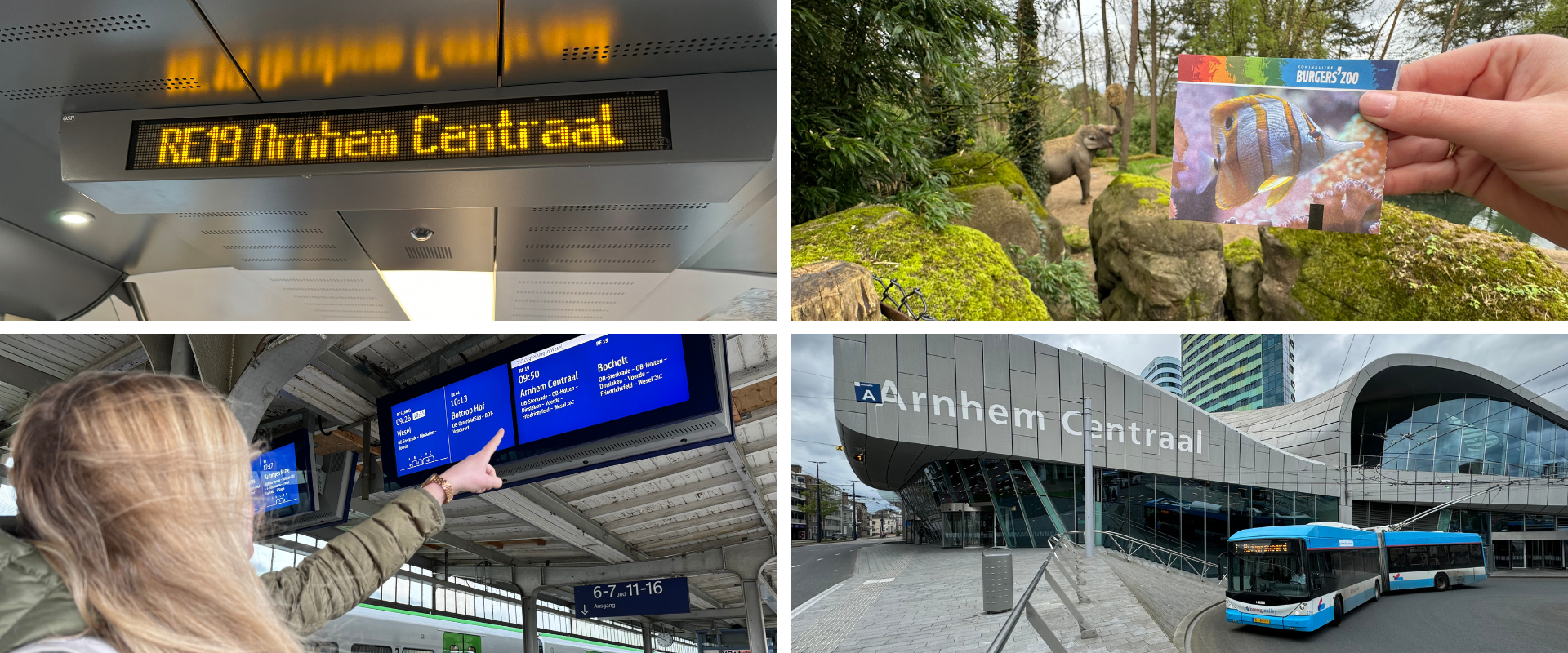 Vier Collagen zeigen verschiedene Eindrücke von der Fahrt mit dem Zug nach Arnhem Centraal.
