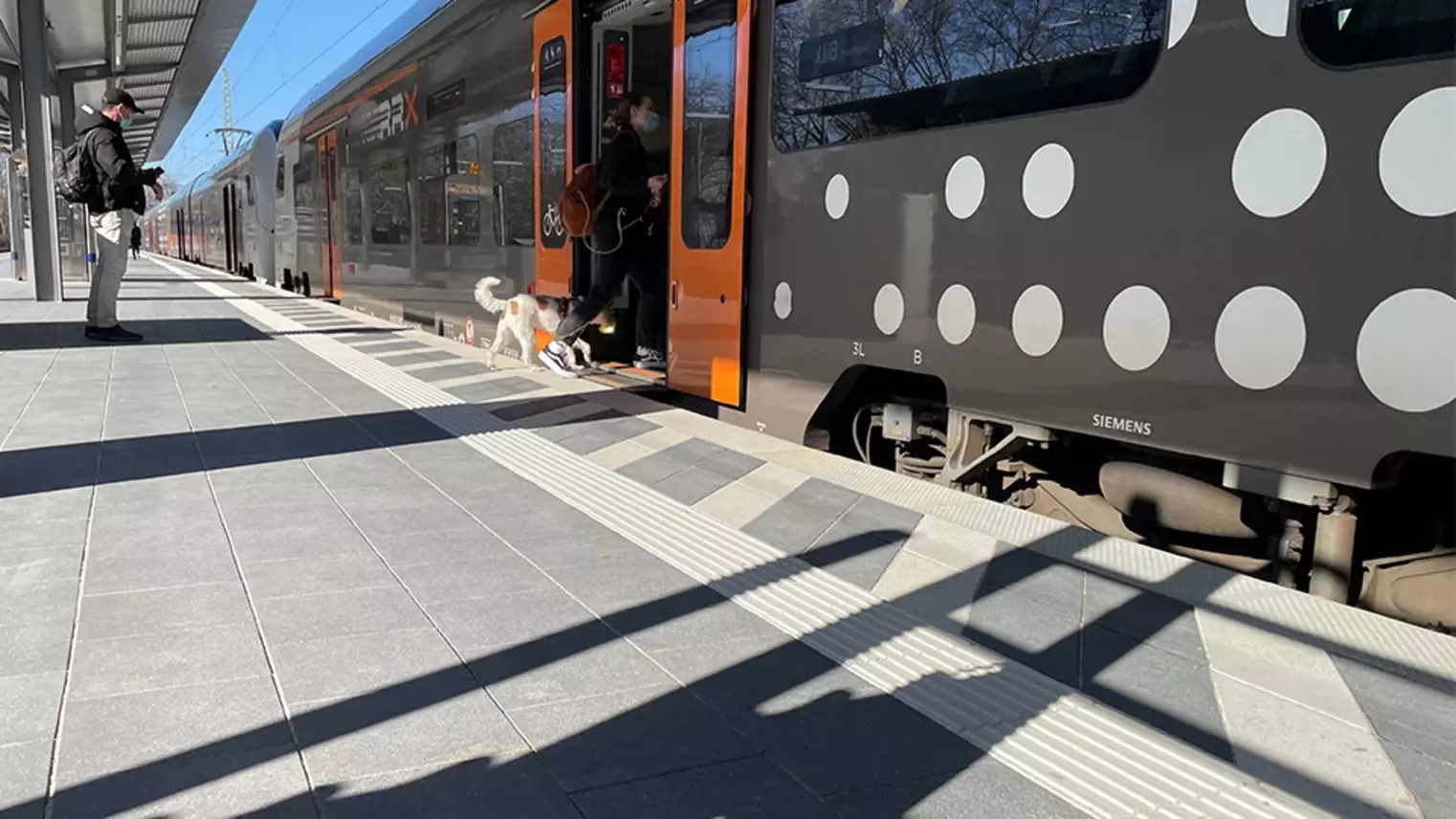 RRX-Zug mit geöffneter Tür, in den eine Person mit Hund barrierefrei einsteigt
