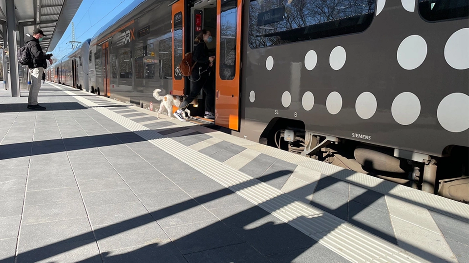 RRX-Zug mit geöffneter Tür, in den eine Person mit Hund barrierefrei einsteigt