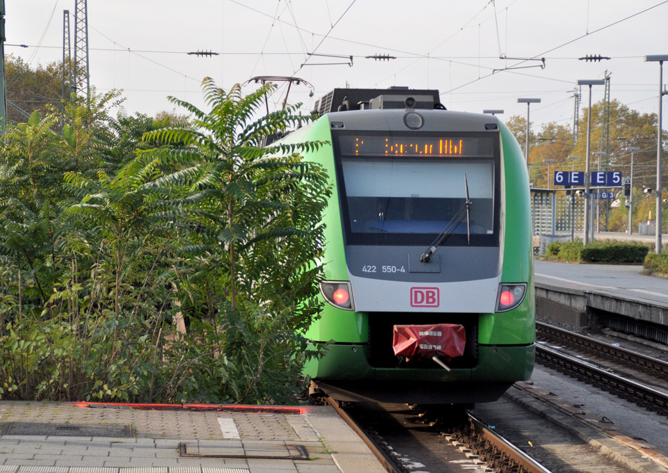 Die S-Bahn Rhein-Ruhr an einer Haltestation.