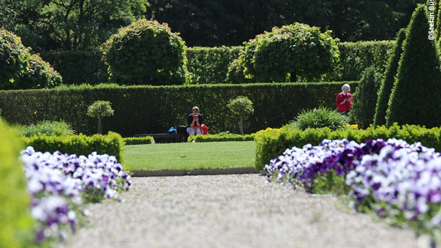 Blumenbeete auf der Landesgartenschau