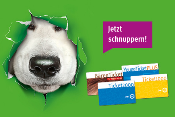 Die verschiedenen Ticketabos im VRR sowie eine Hundeschnauze, die durch eine Wand blickt