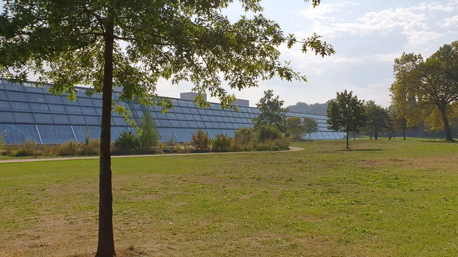 Der Wissenschaftspark Gelsenkirchen