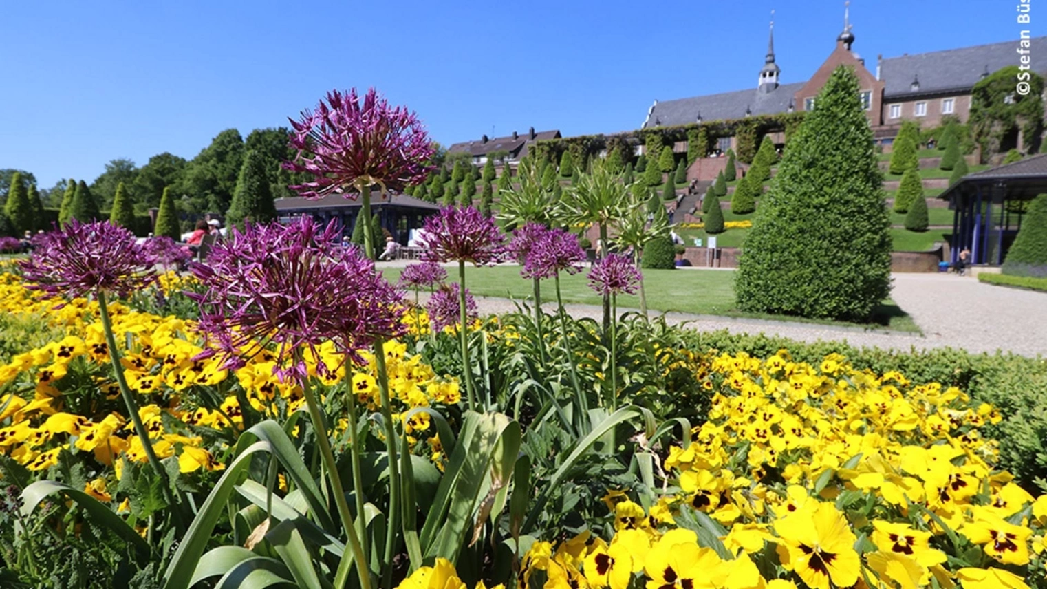 Blumenbeete auf der Landesgartenschau