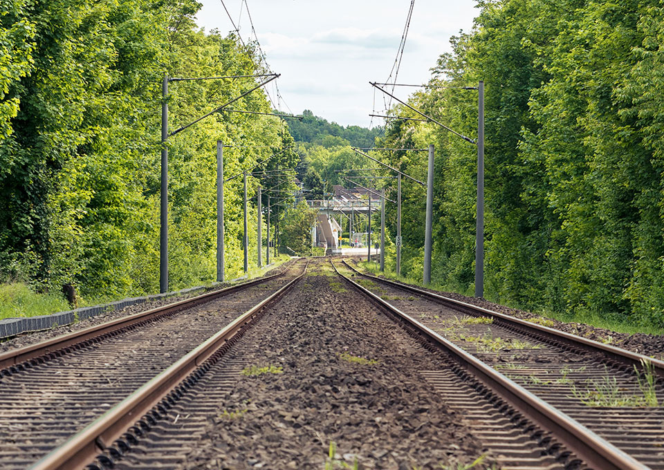 Zwei Bahnschienen in der Mitte, die links und rechts mit Bäumen begrünt sind.