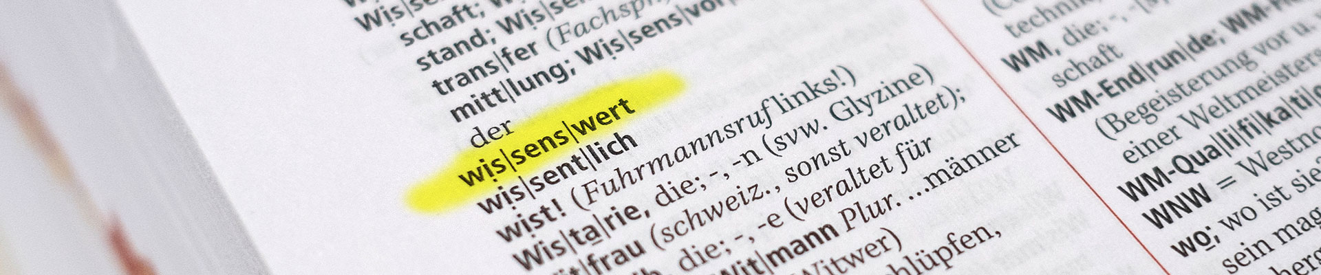Einen Lexikoneintrag. Das Wort wissenswertes ist gelb markiert.