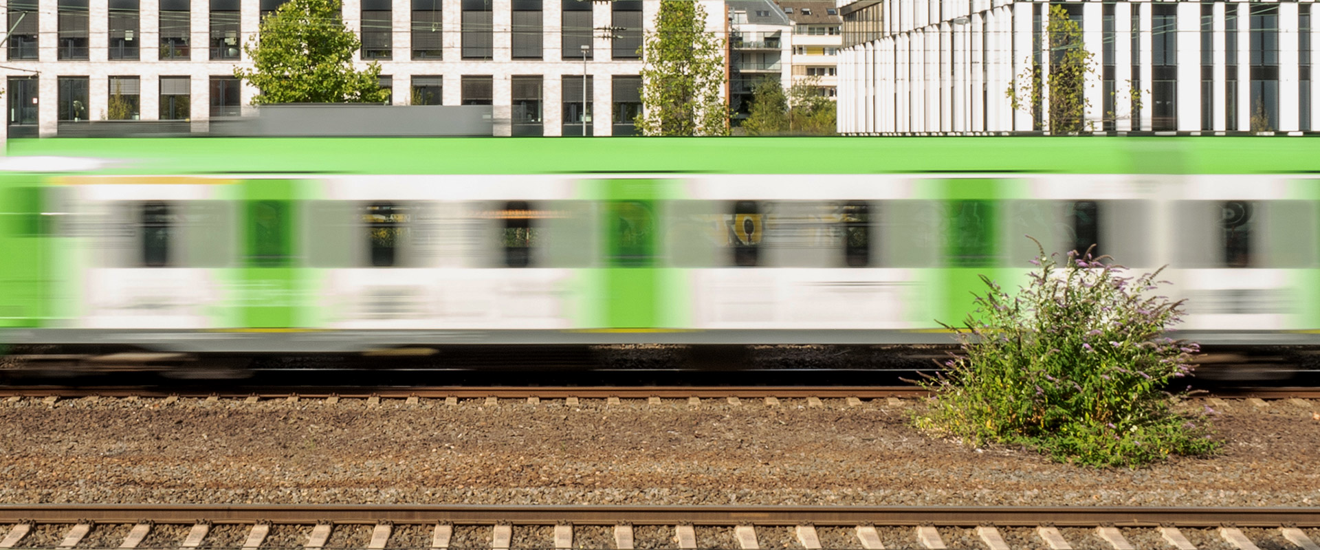 Ansicht einer schnell vorbeifahrenden S-Bahn, im Vordergrund ist ein Busch zu sehen