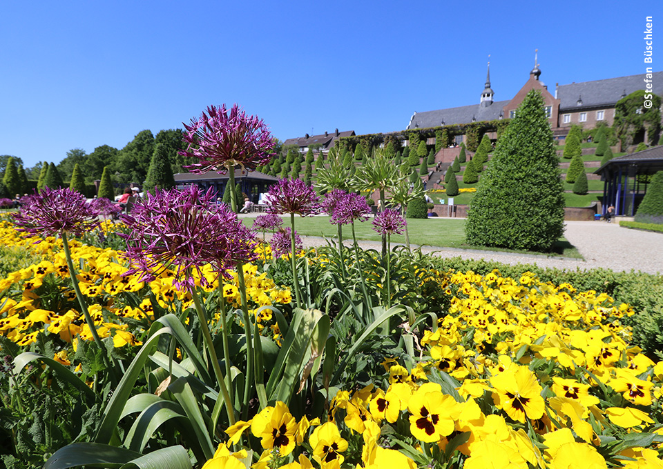 Blumenbeete auf der Landesgartenschau