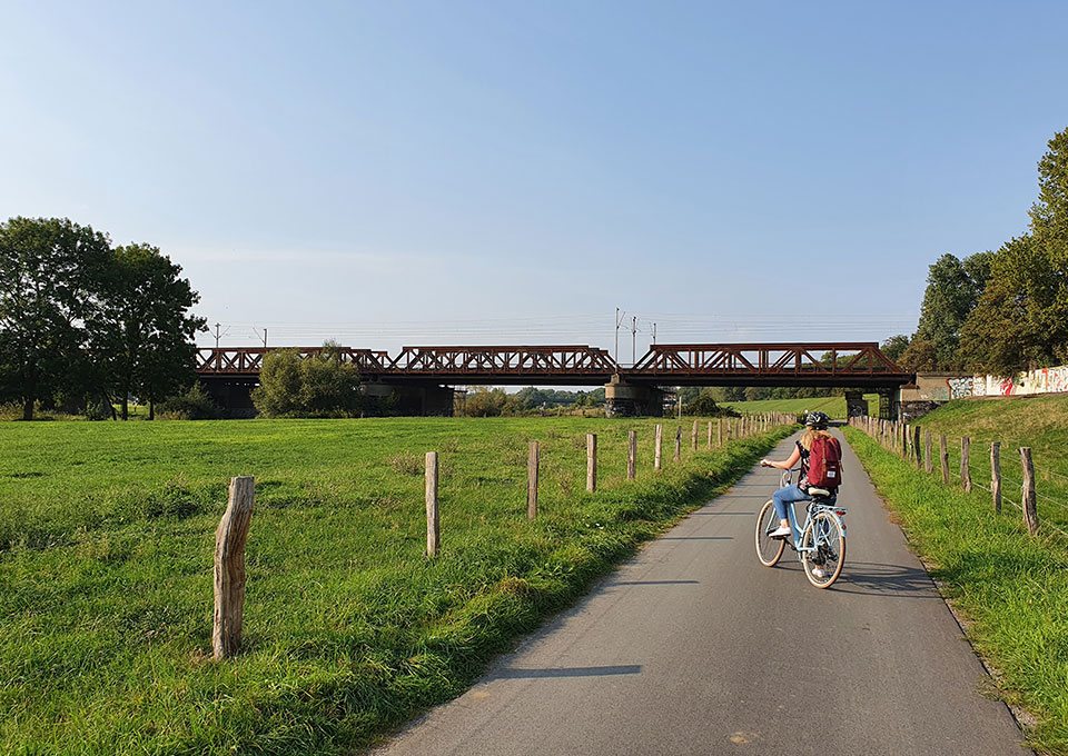 Eine Frau fährt auf einem Fahrrad einen Radweg entlang