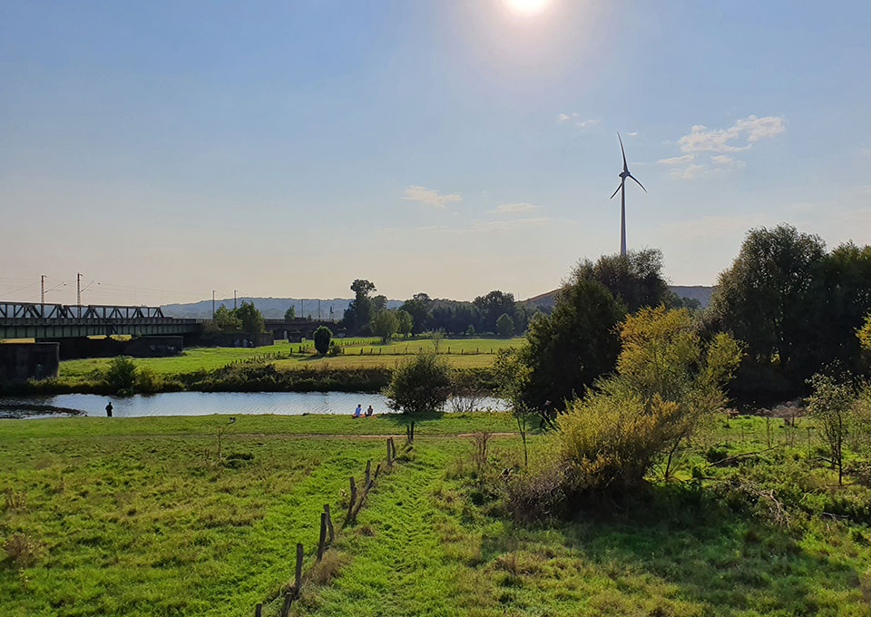 Die Ruhr und Ruhrwiesen