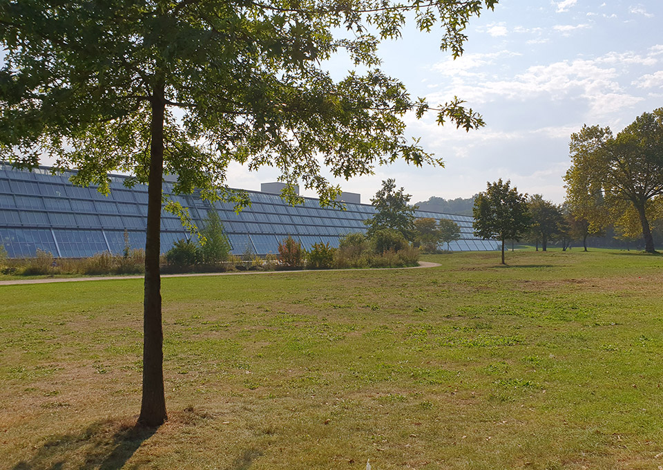 Der Wissenschaftspark Gelsenkirchen