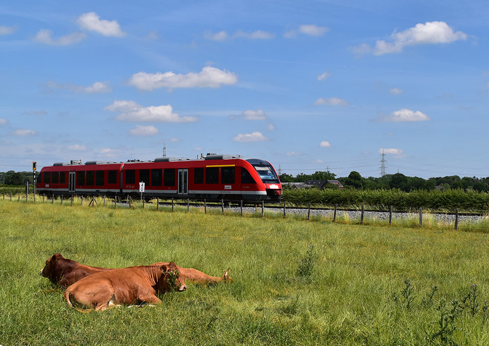 Der heutige RE 19a fährt entlang der Felder