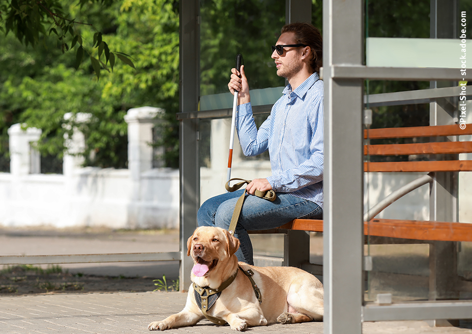 Ein sehbehinderter Mensch sitzt mit seinem Hund in einer Bushaltestelle