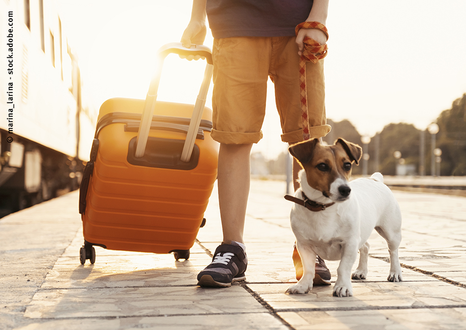 Ein Fahrgast steht am Bahnsteig mit angeleintem Hund und Koffer