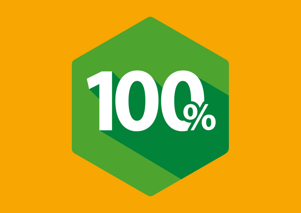 grüne Wabe auf orangem Hintergrund mit dem Schriftzug "100 %"