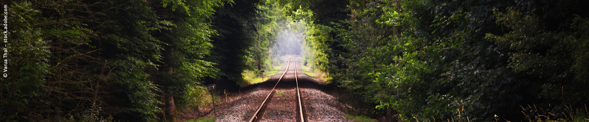 Eine Bahntrasse, die am Wald entlang führt