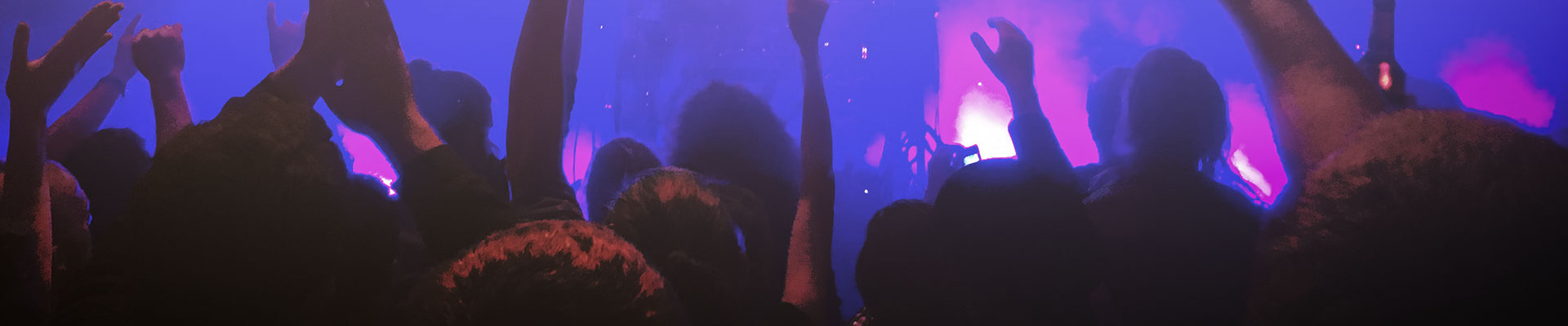 Dancing people at a concert